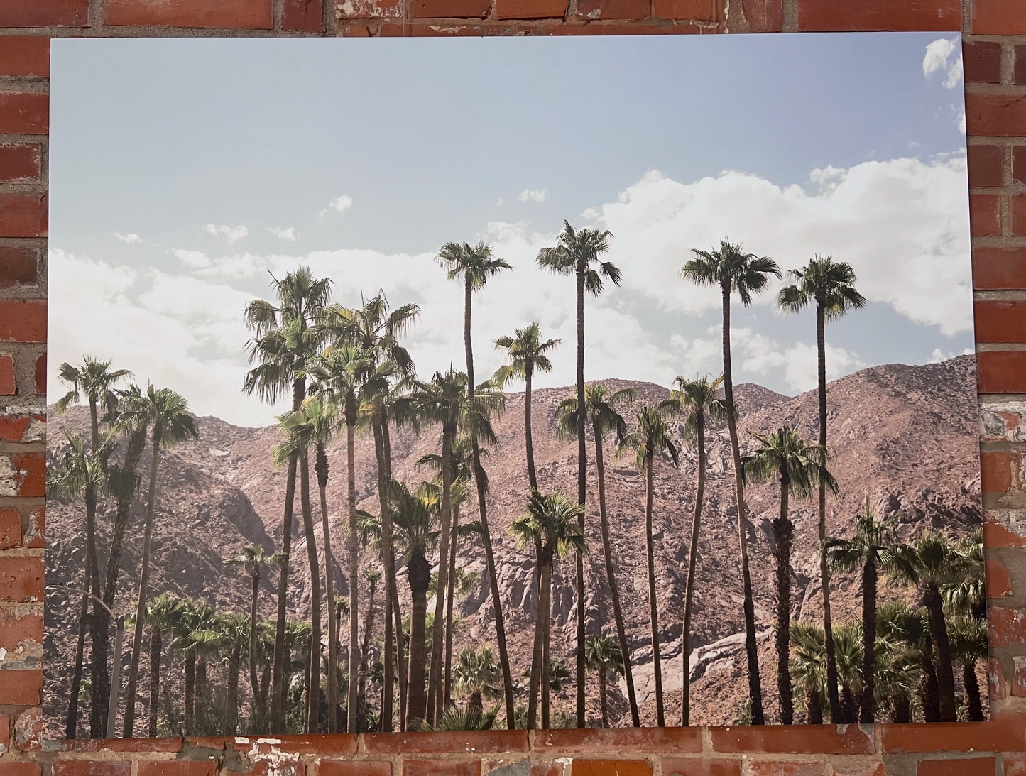 Desert Silhouette | CONNECTING 2026 Edition