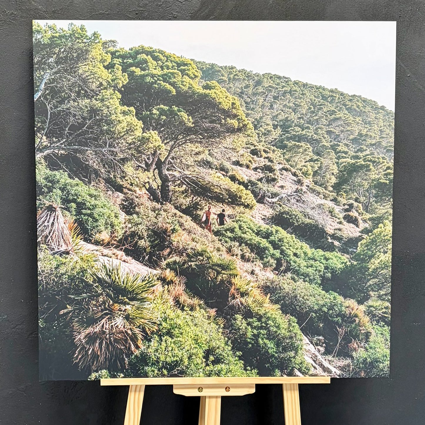 Human X Nature II | CONNECTING 2026 Edition