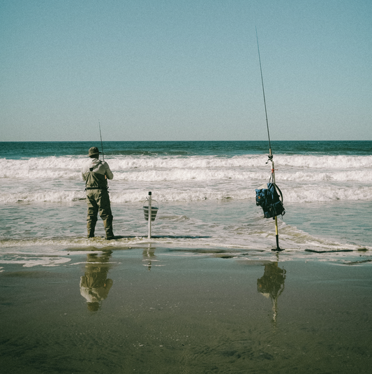 Golden Catch | CONNECTING 2026 Edition