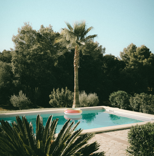 Swimming Donut | CONNECTING 2026 Edition