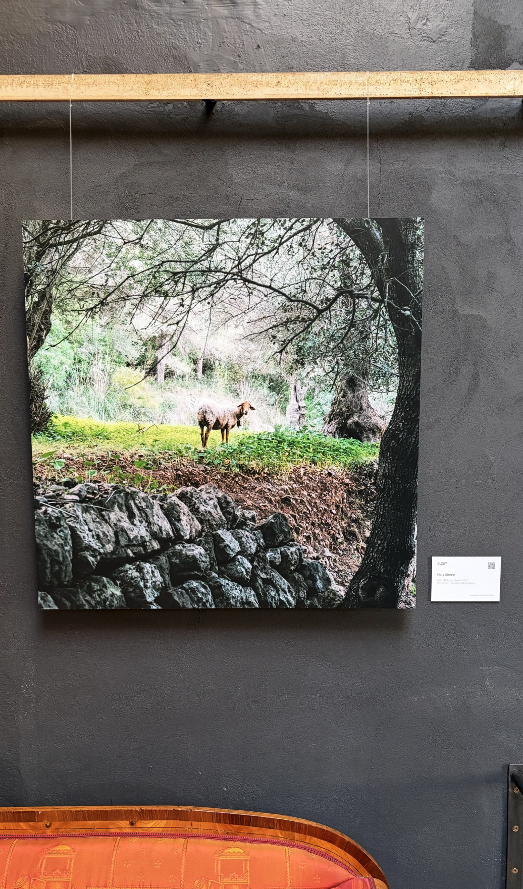 Holy Sheep | CONNECTING 2026 Edition