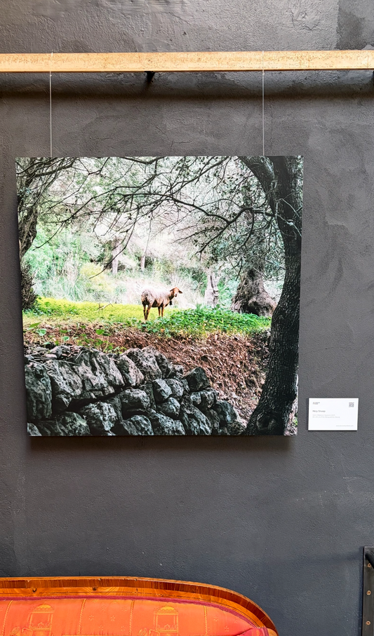 Holy Sheep | CONNECTING 2026 Edition