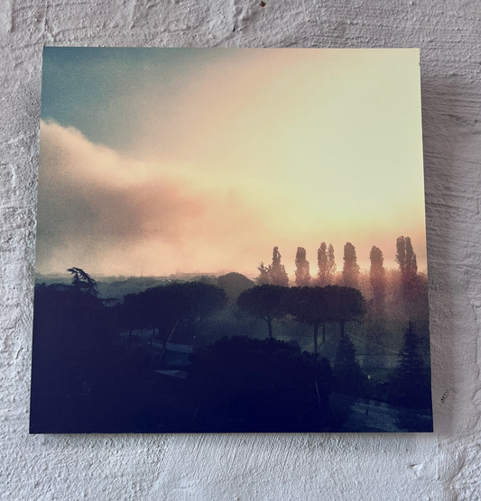 Cypress Silence | CONNECTING 2026 Edition