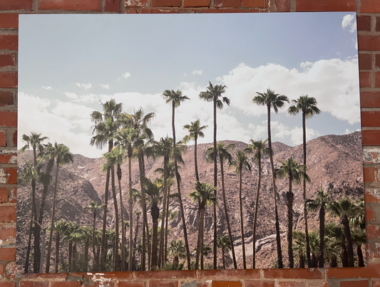 Desert Silhouette | CONNECTING 2026 Edition