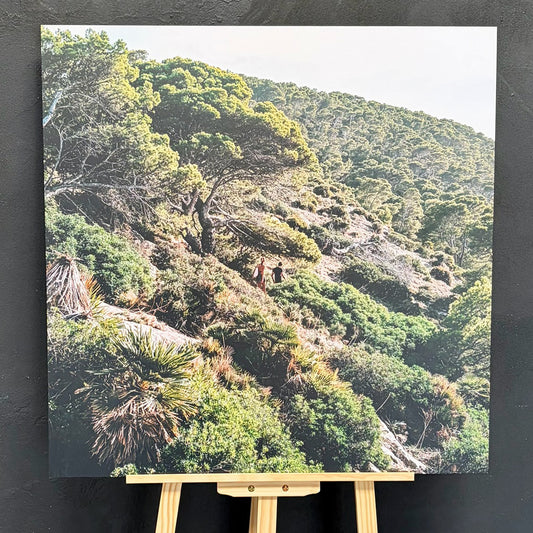 Human X Nature II | CONNECTING 2026 Edition