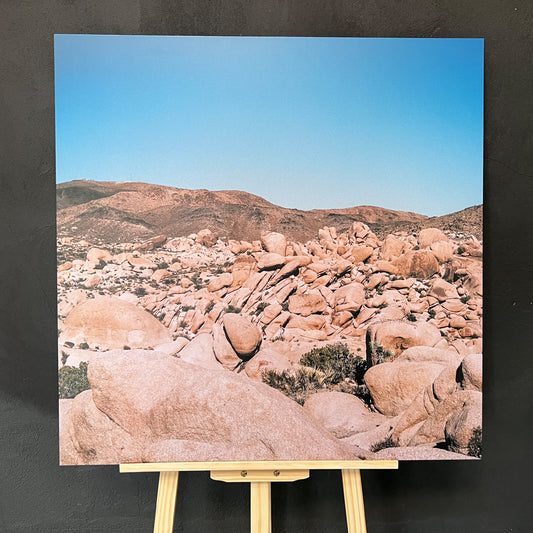 Human X Nature I | CONNECTING 2026 Edition