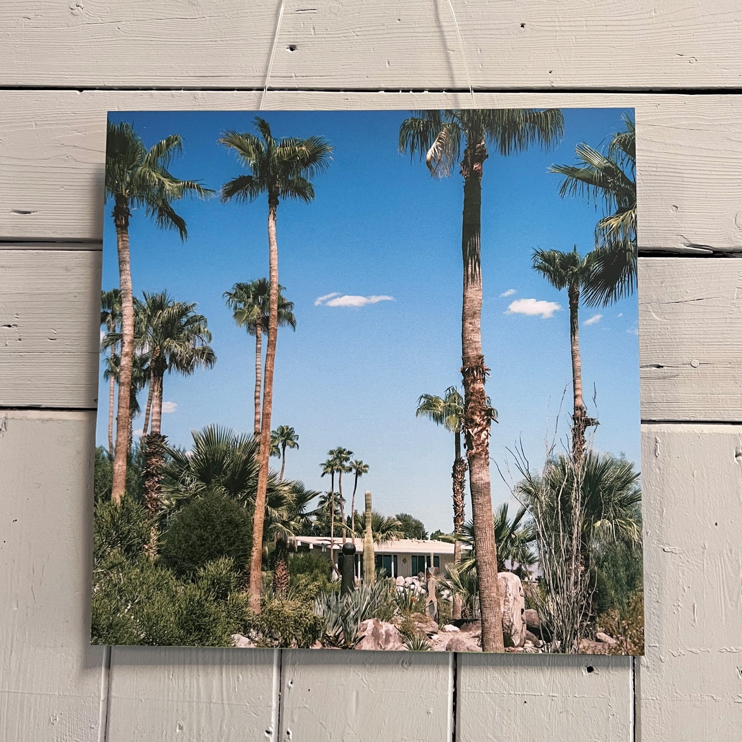 On The Rocks | CONNECTING 2026 Edition Edition